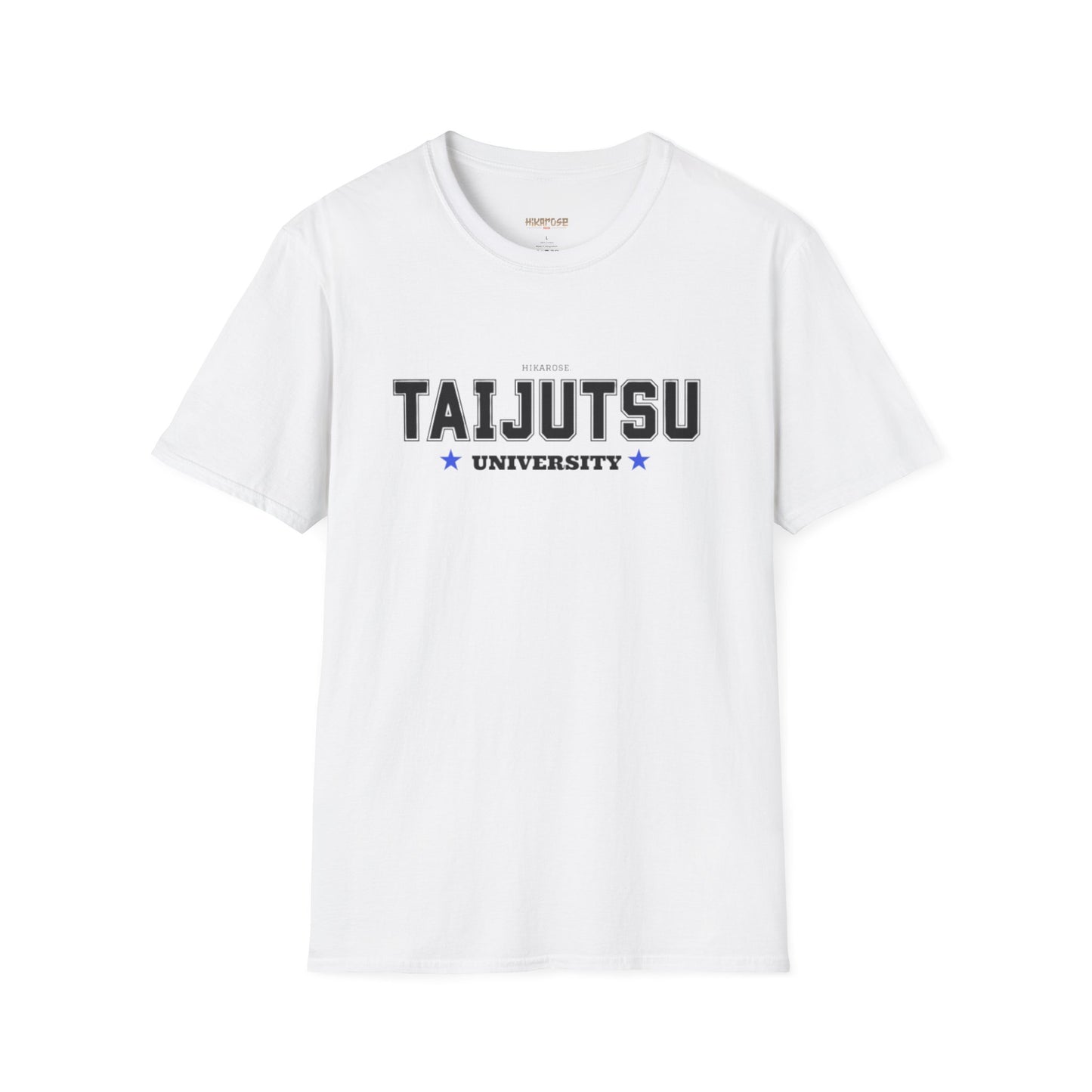 TAIJUTSU UNIVERSITY